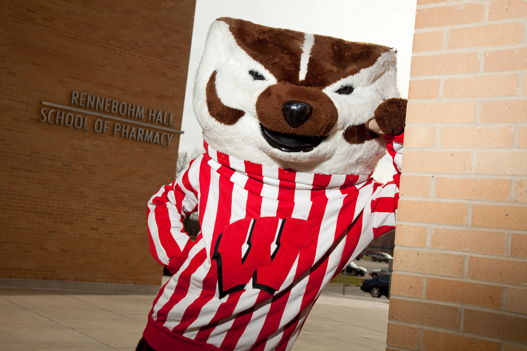 Bucky Badger poses in front of Rennebohm Hall, the School of Pharmacy building
