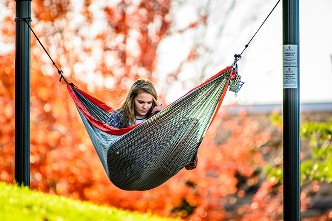 A student studies whil relaxing in a hammock by the lake