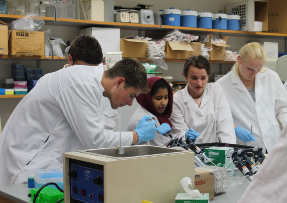 PharmTox students work on an experiment during lab